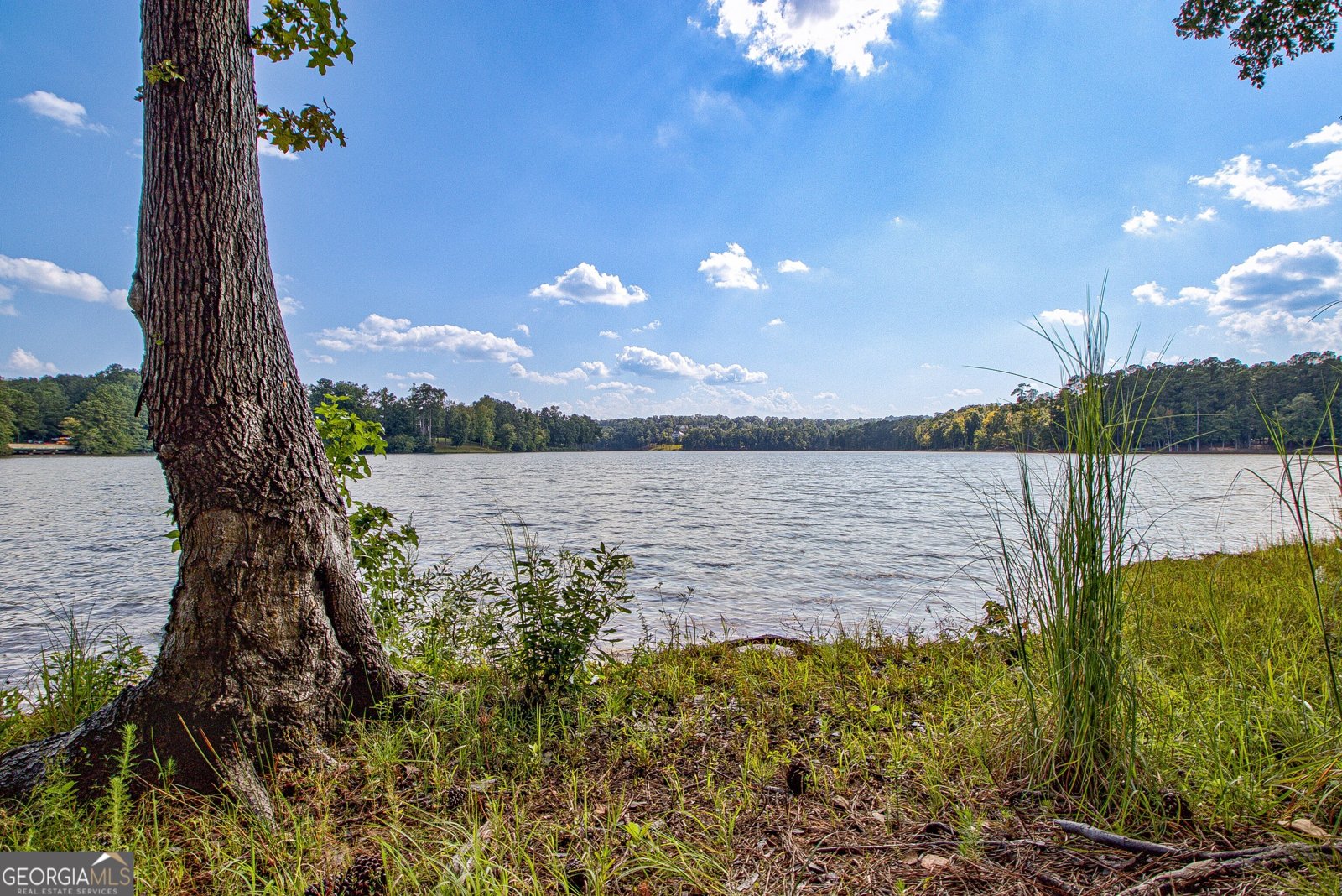 504 Telfair Park Peachtree City - 6