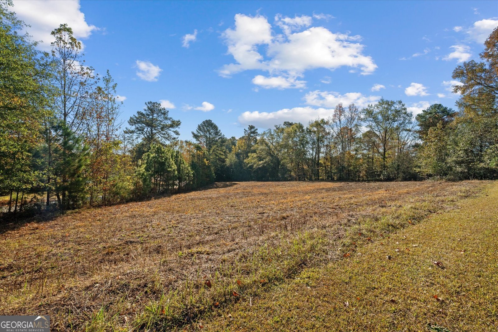 135 Gray Road Carrollton - 12