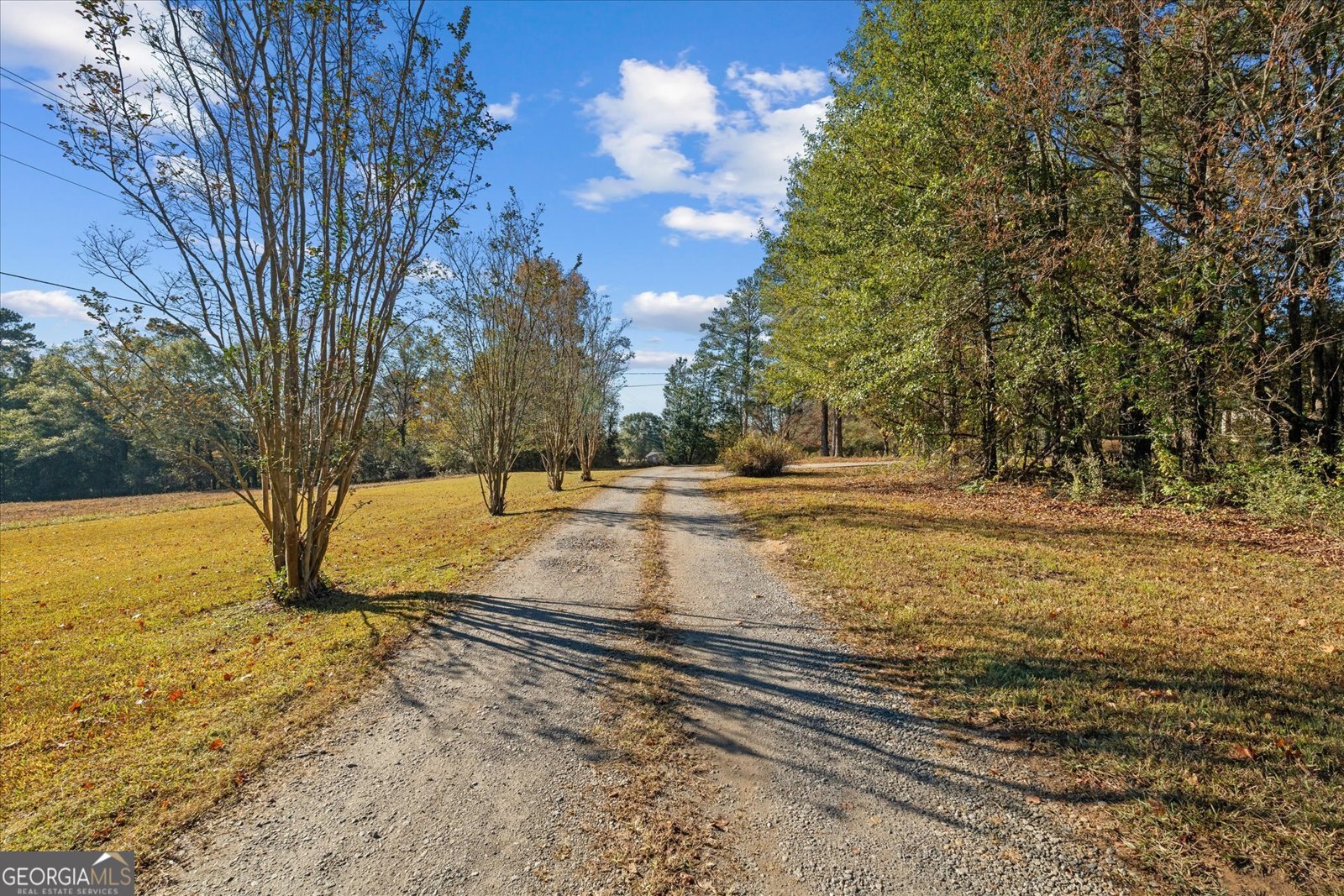 135 Gray Road Carrollton - 13