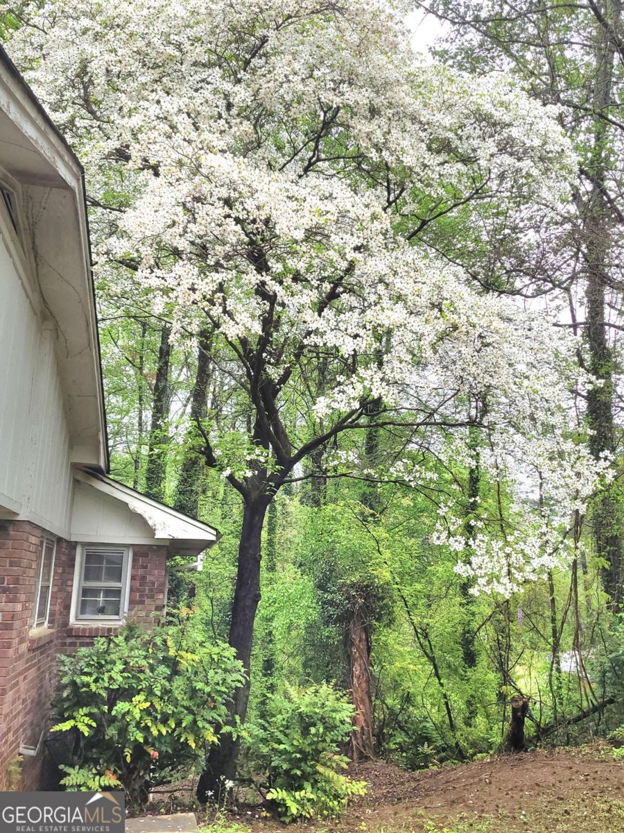 1256 Piedmont Road Marietta - 5