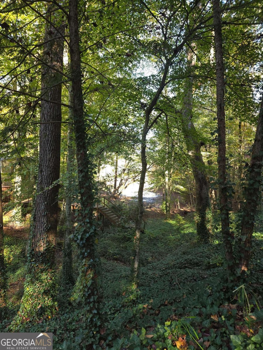 5656 Hamilton Road Pine Mountain - 1