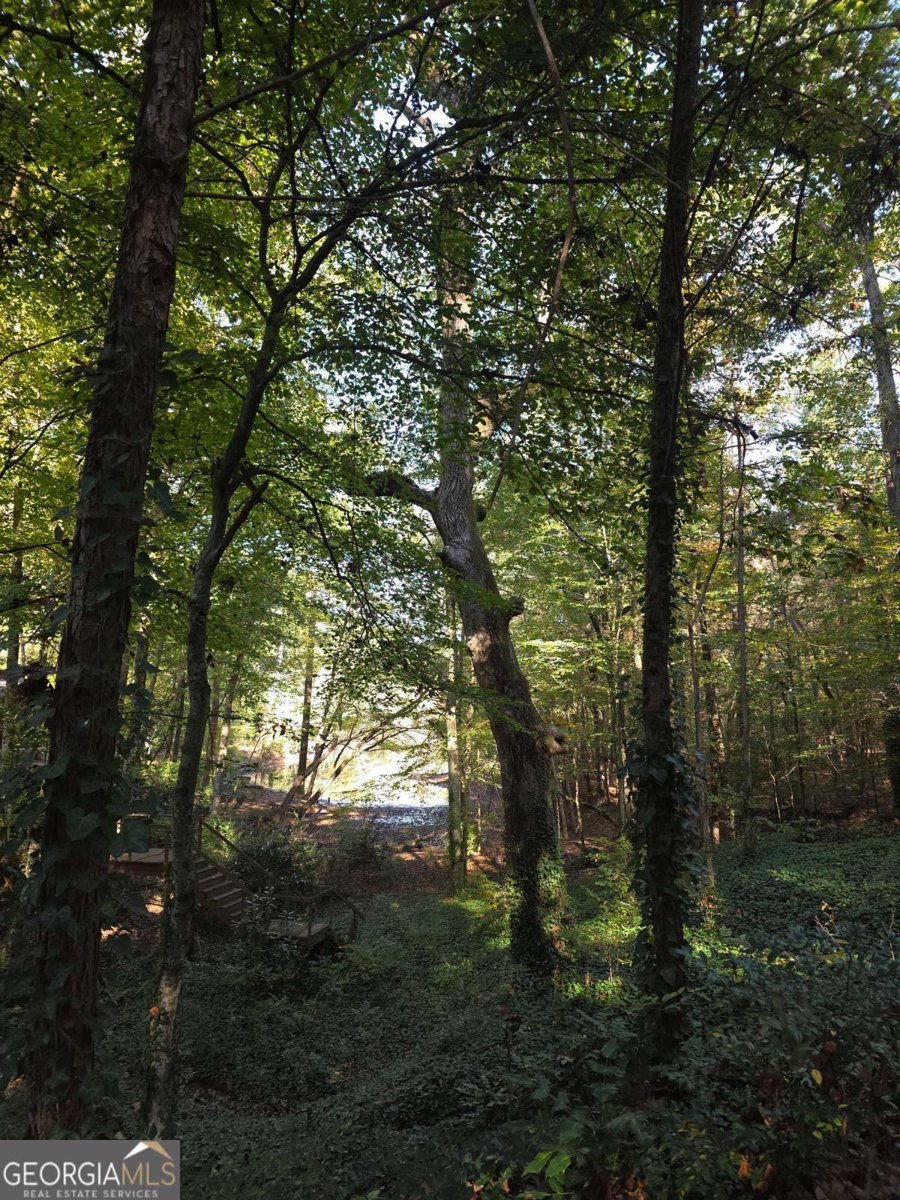 5656 Hamilton Road Pine Mountain - 2