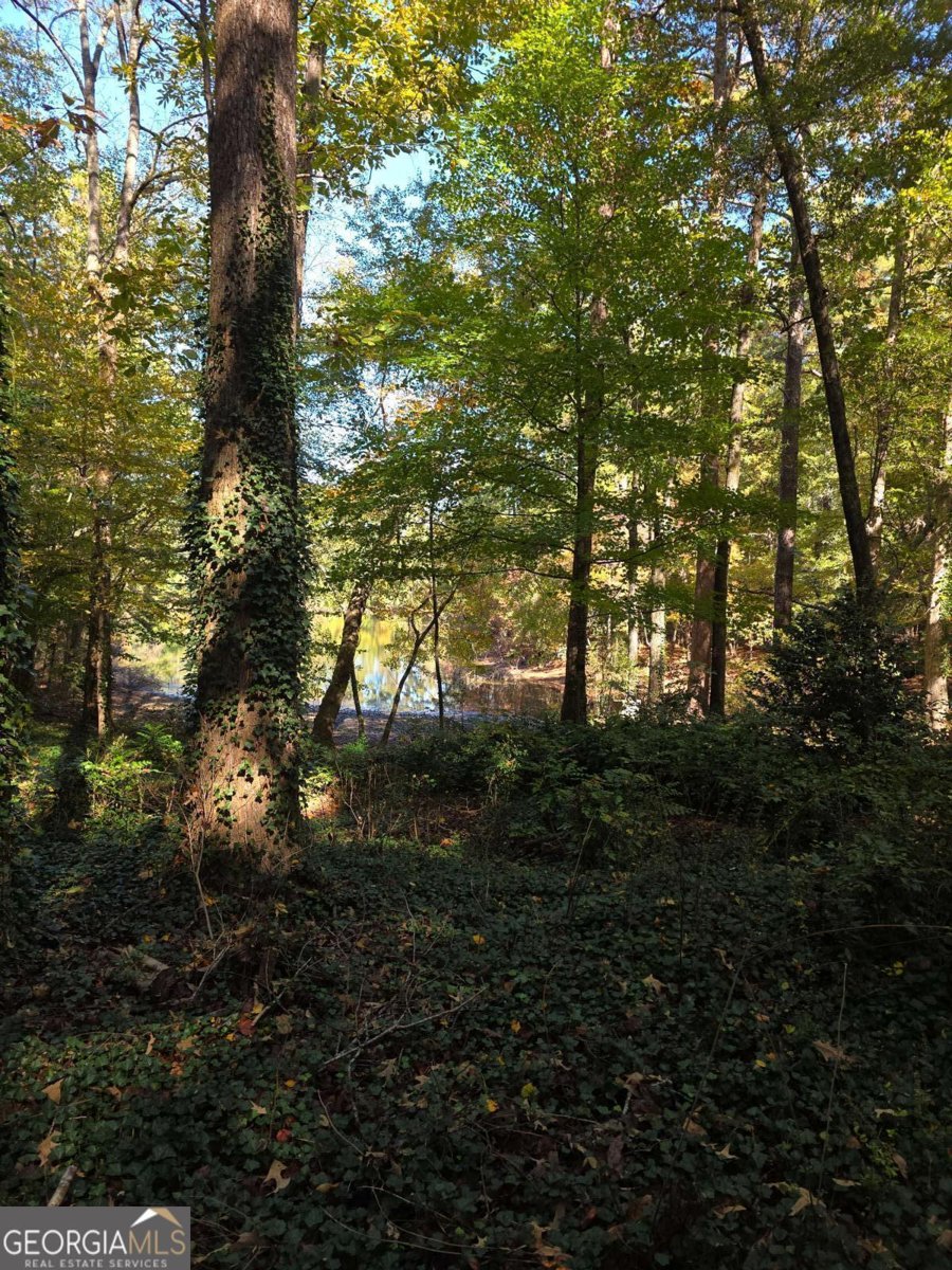 5656 Hamilton Road Pine Mountain - 3