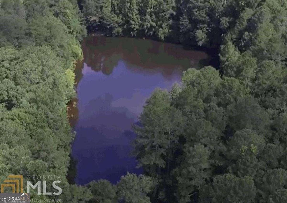 5656 Hamilton Road Pine Mountain - 63