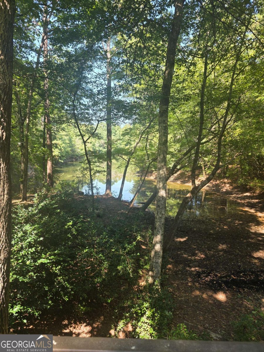 5656 Hamilton Road Pine Mountain - 67