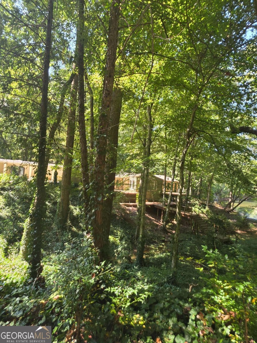 5656 Hamilton Road Pine Mountain - 68