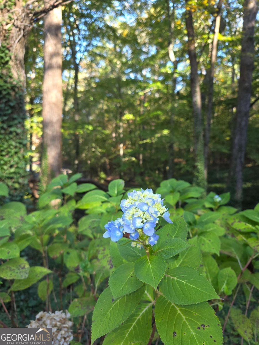 5656 Hamilton Road Pine Mountain - 71