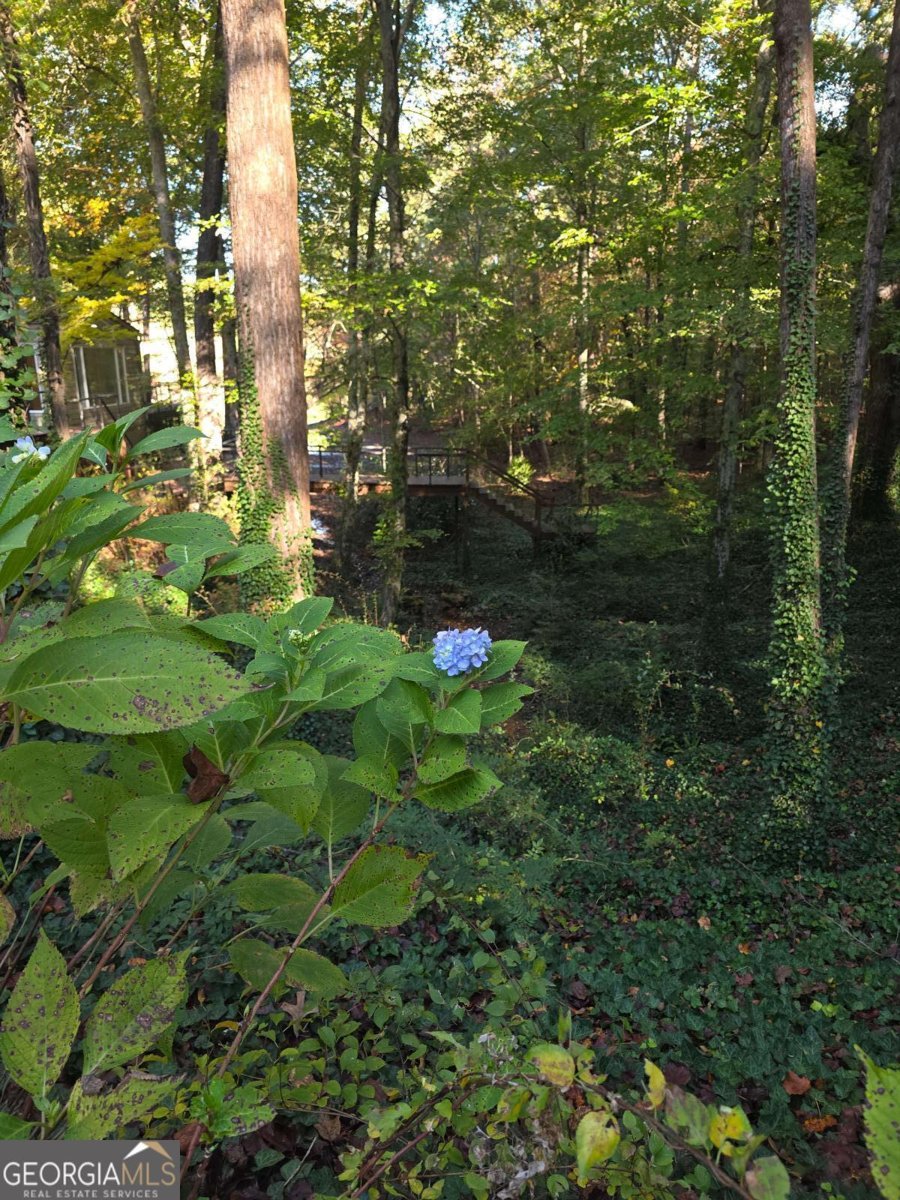 5656 Hamilton Road Pine Mountain - 72