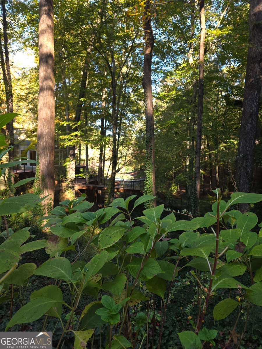 5656 Hamilton Road Pine Mountain - 73