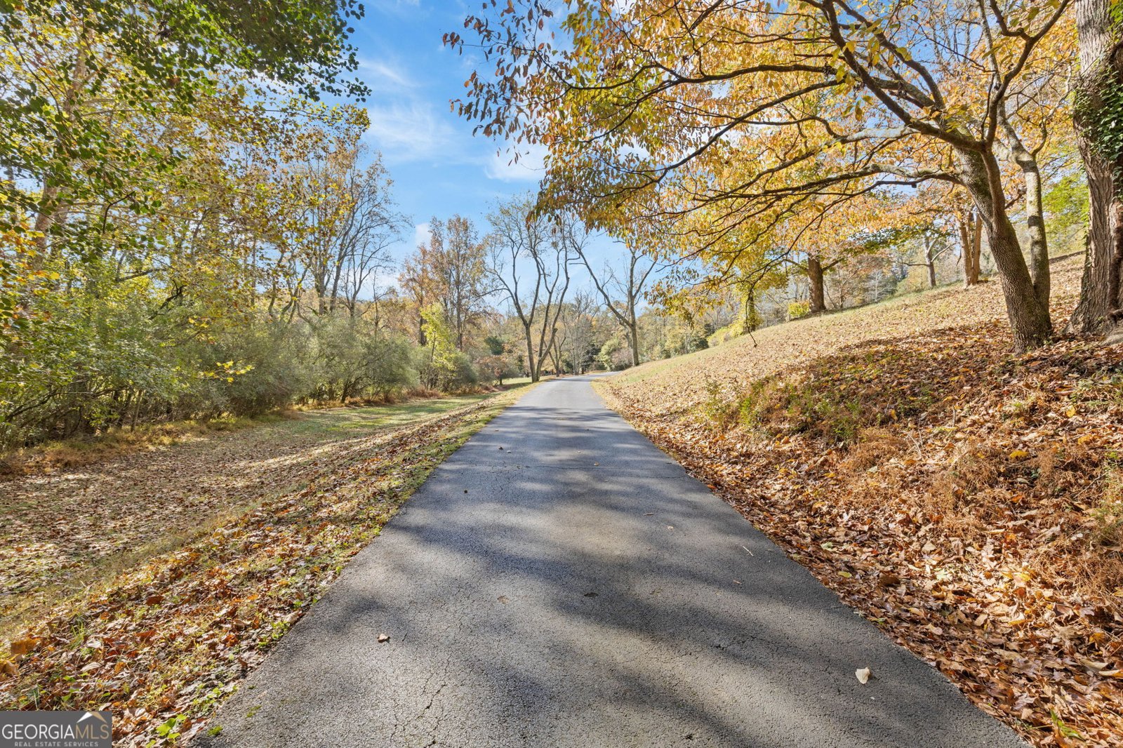 3740 Woodlane Road Gainesville - 9