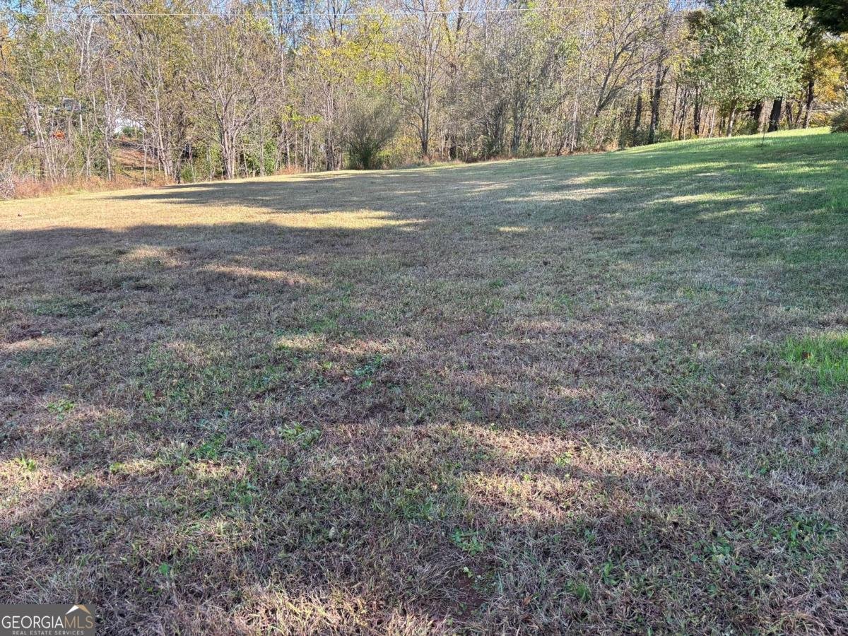 260 Fortner Drive Dahlonega - 6