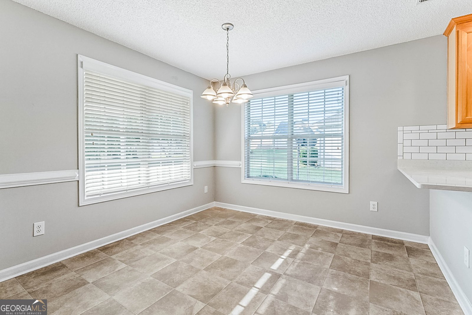 1313 Jubilee Lane McDonough - 16