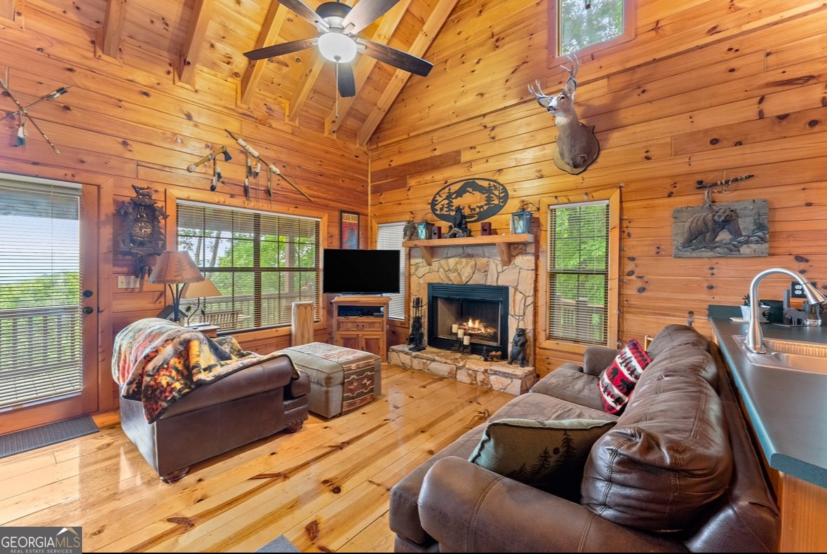 372 Mountain View Road Ellijay - 5