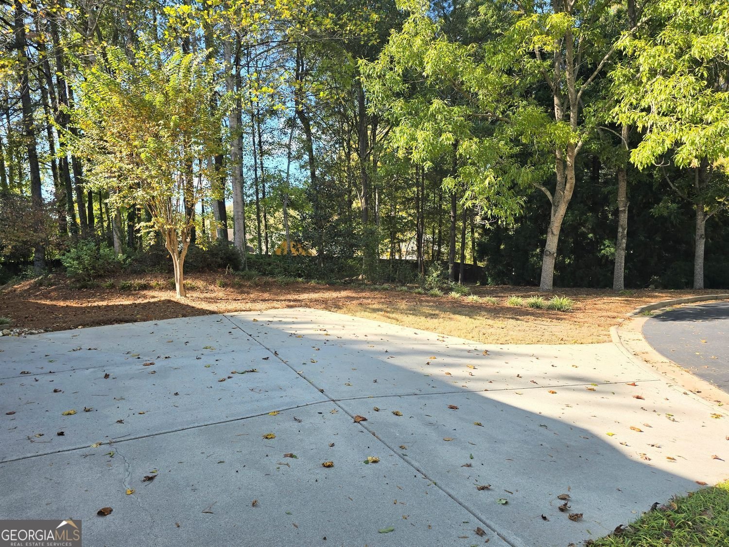 3237 Abbott Drive Powder Springs - 40