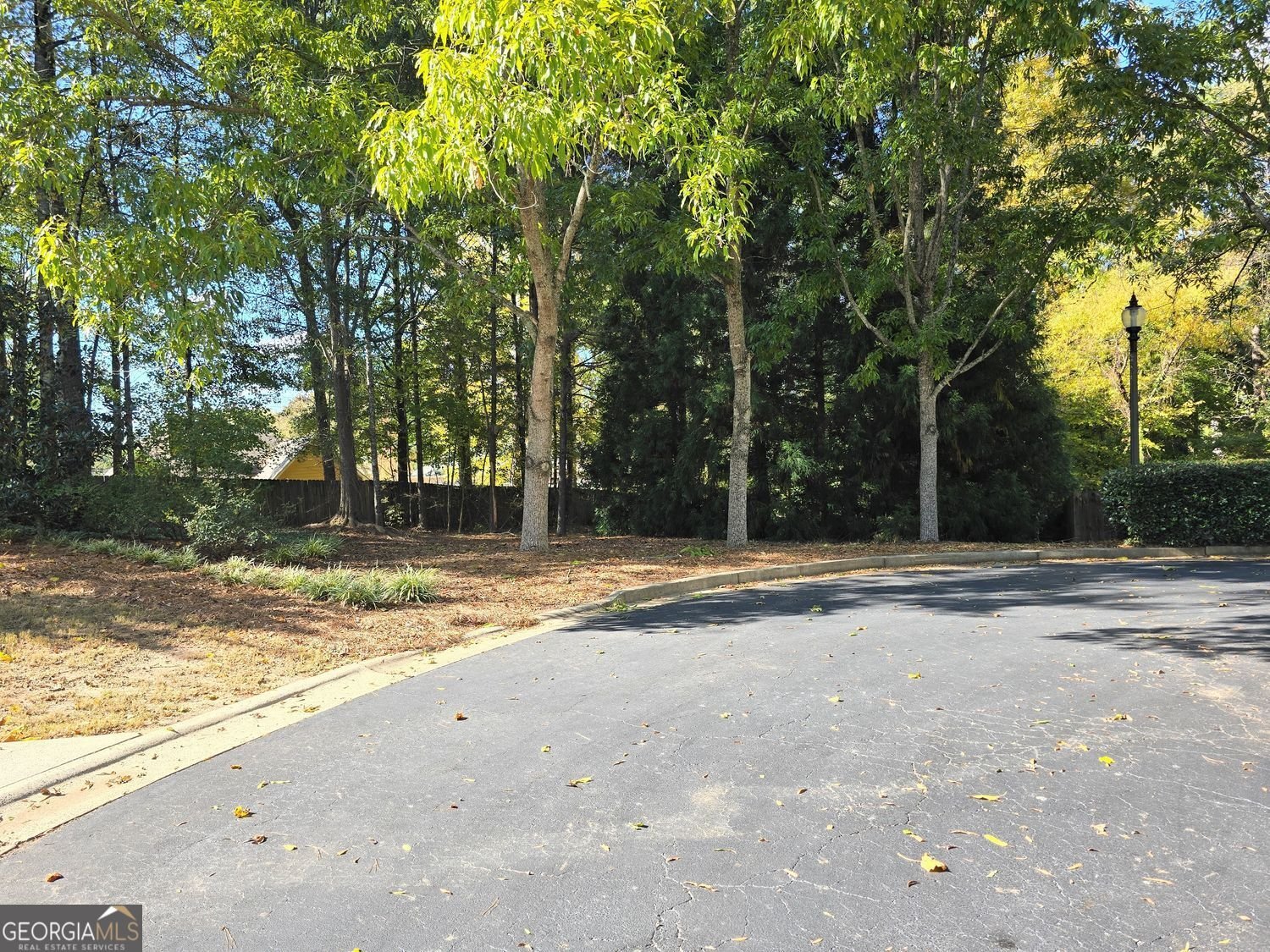 3237 Abbott Drive Powder Springs - 43