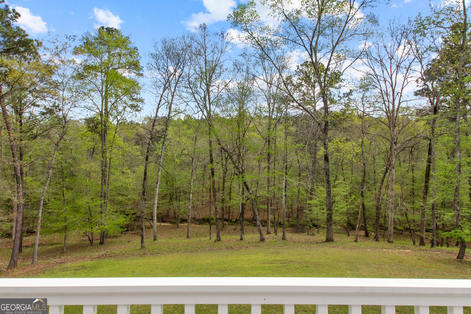 125 Tumbling Shoals Drive Gray - 47