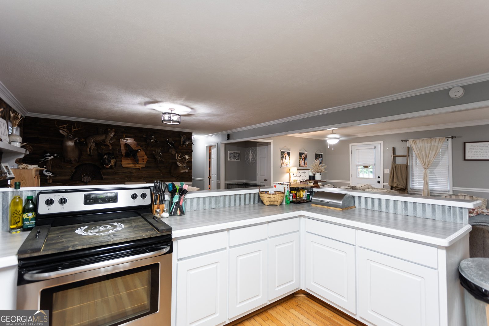 1585 Flat Rock Road Covington - 3