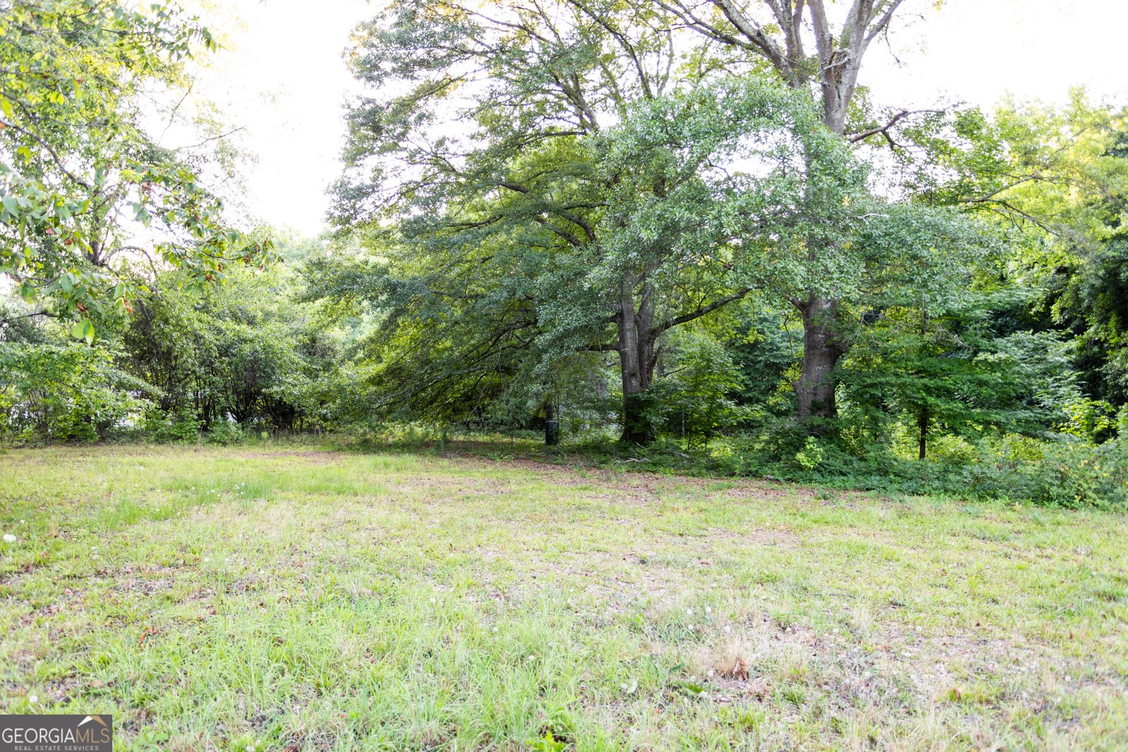 1585 Flat Rock Road Covington - 32