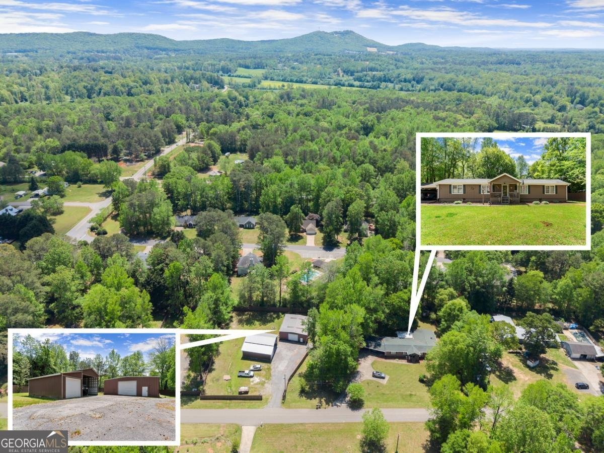 5855 Willis Lane Cumming - 36