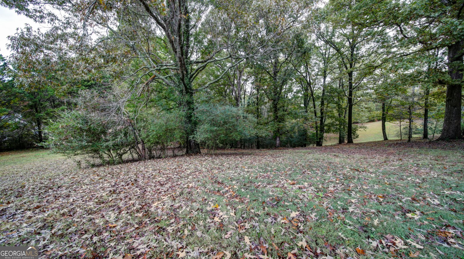 4985 Truman Mountain Road Gainesville - 25