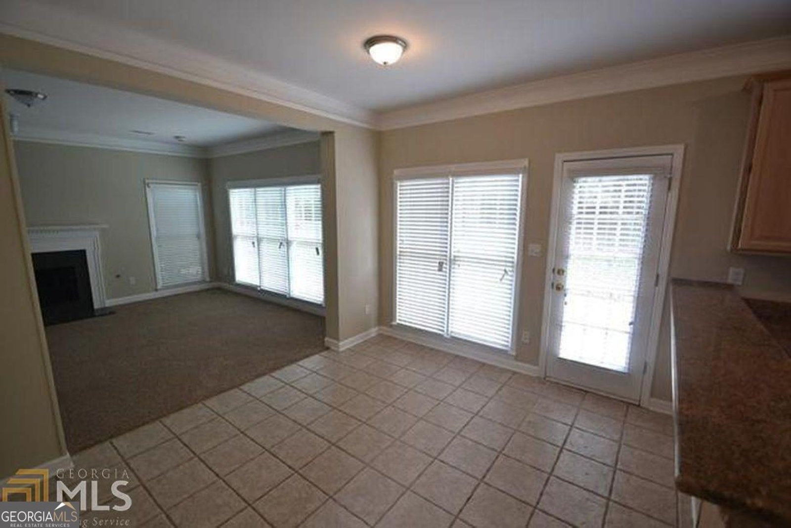 104 Inverrary Court McDonough - 10