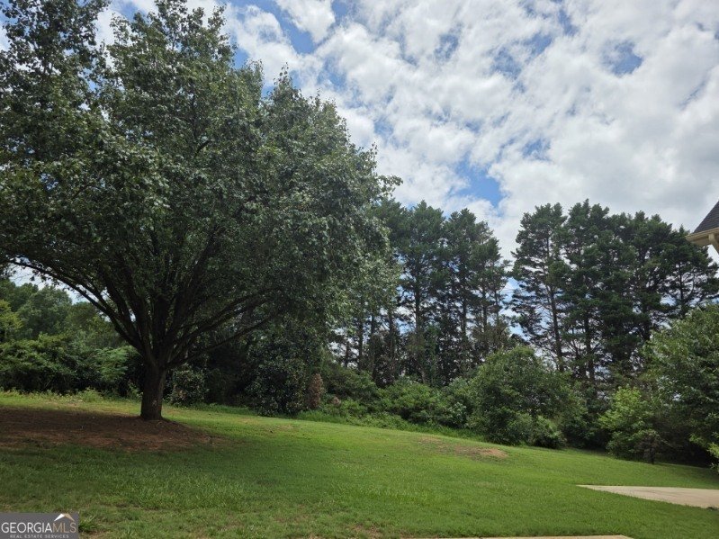 104 Inverrary Court McDonough - 15