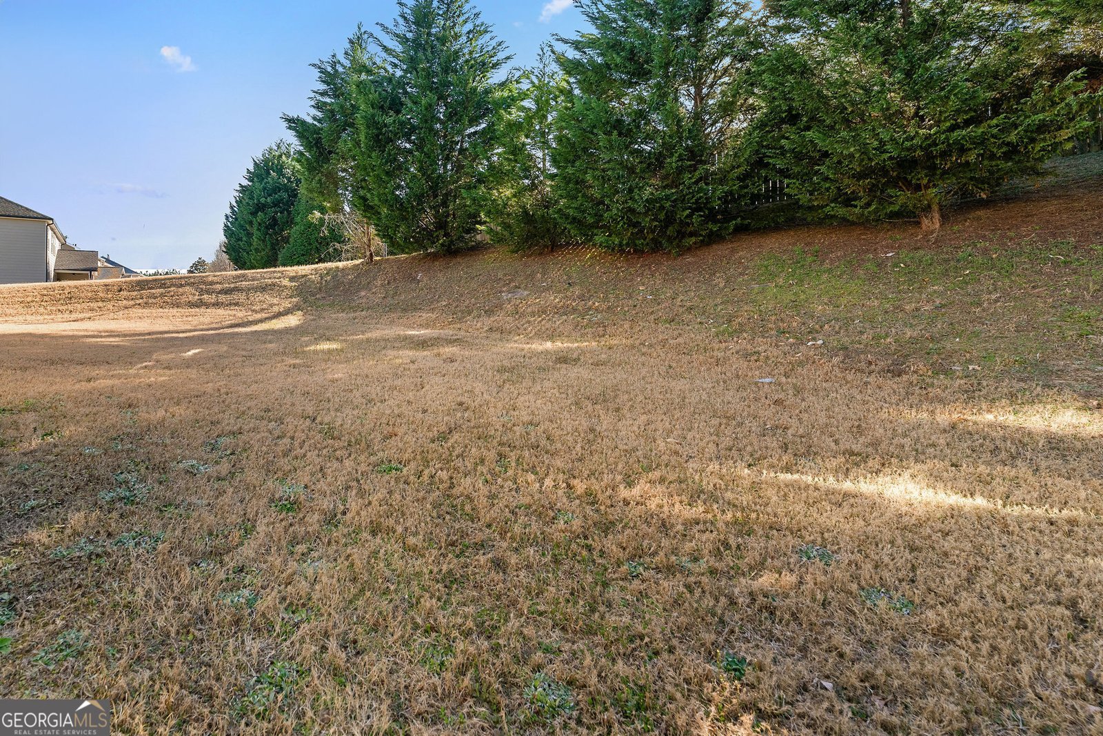 1183 Lanier Springs Drive Buford - 20