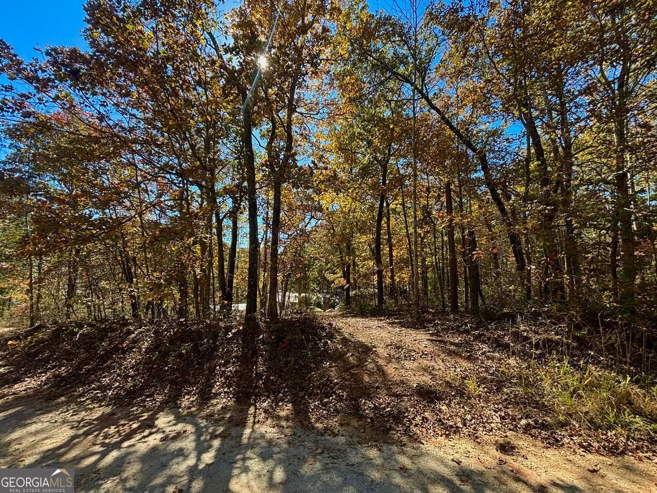 80 BEAVER RUN Road Waco - 17