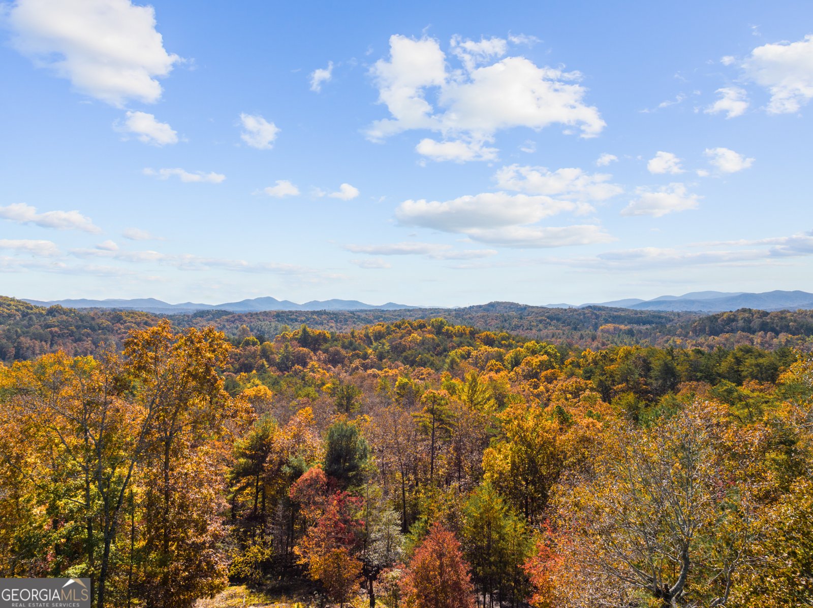 653 The Woods Road Mineral Bluff - 22