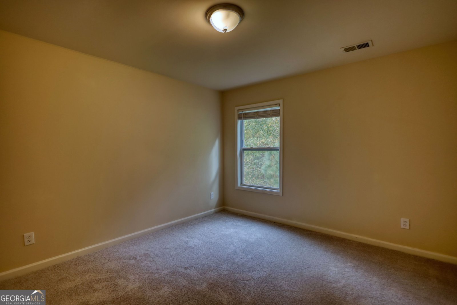 6571 Bluffview Drive Douglasville - 15