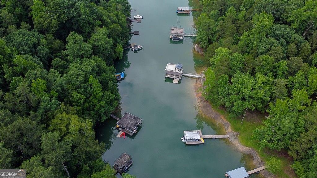 2075 Pine Tree Drive Buford - 9