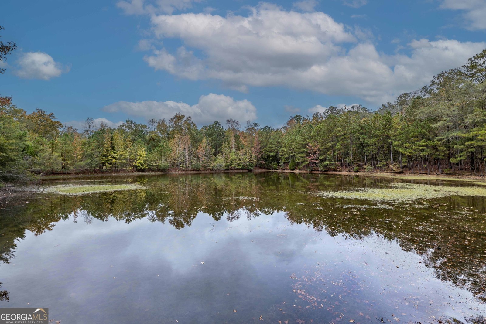 7901 Shallowford Road Upatoi - 2