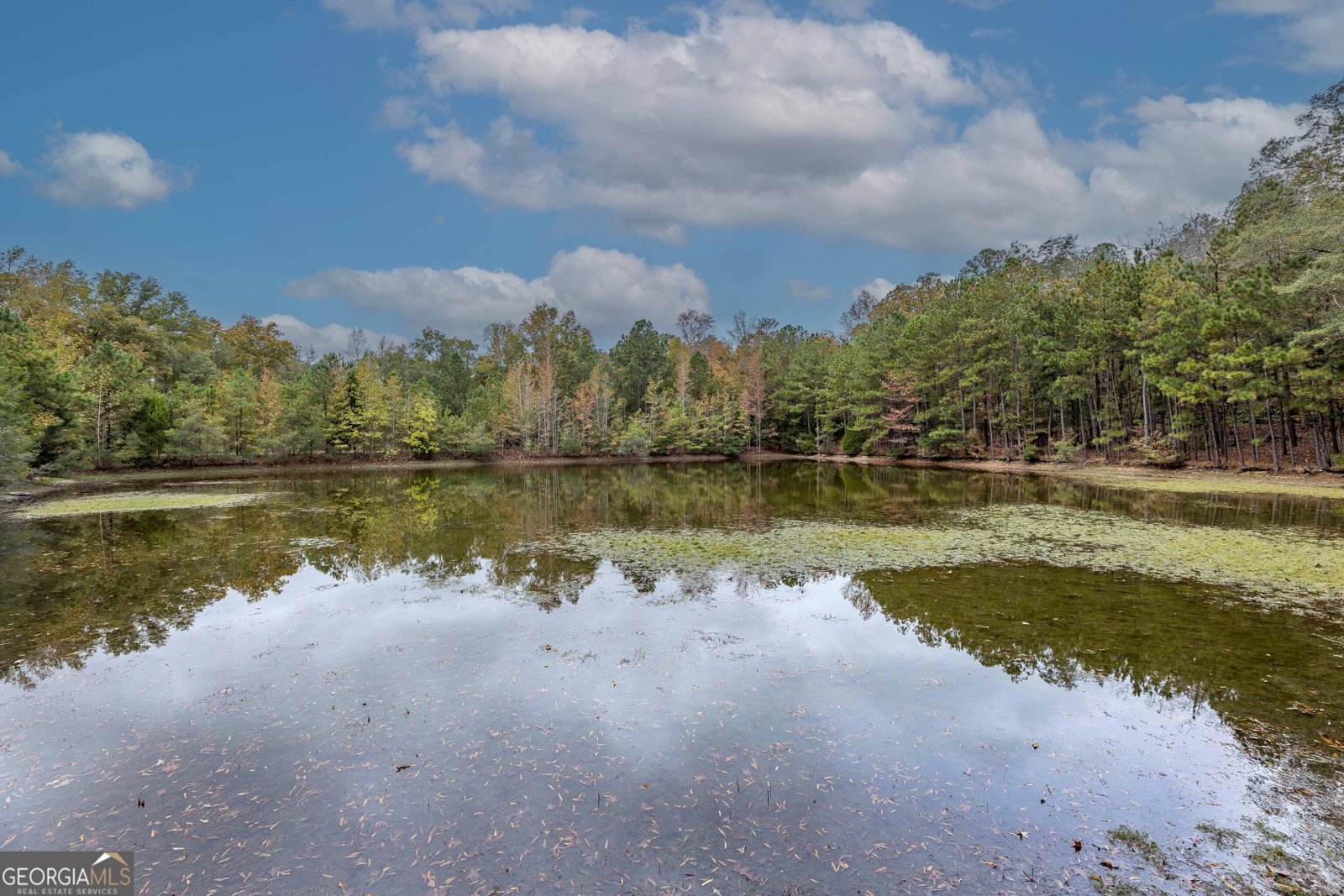 7901 Shallowford Road Upatoi - 73