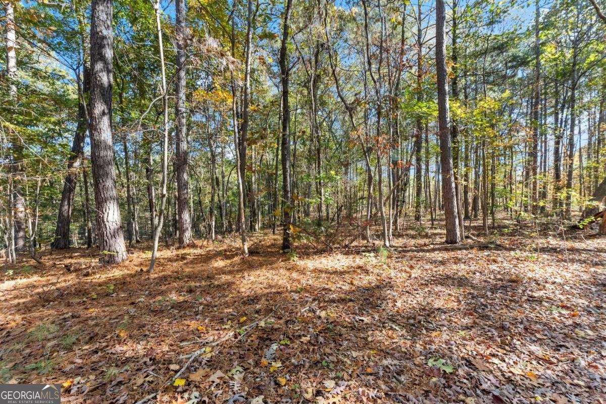 7269 SLOAN STEPHENS Road Alto - 51