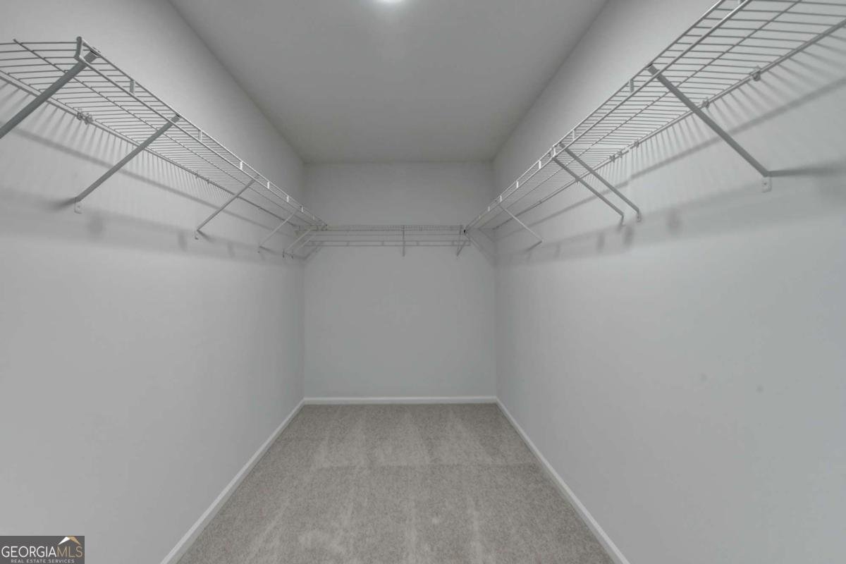 3805 Roxwood Park Drive Buford - 66