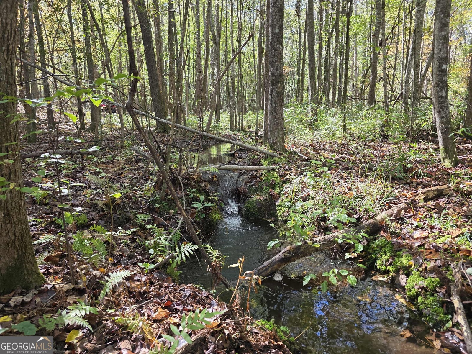 1243 US HWY 19 Meansville - 12