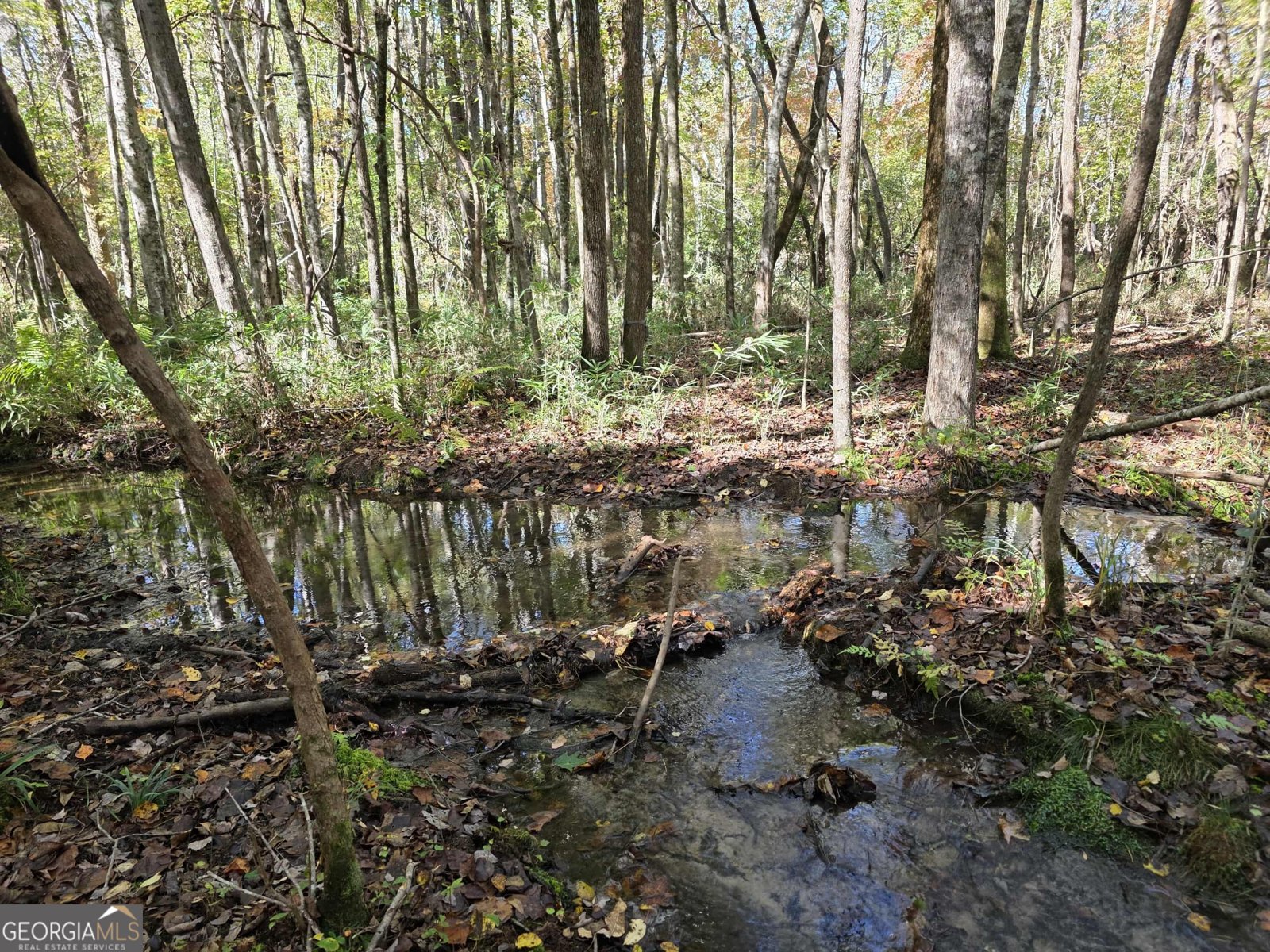 1243 US HWY 19 Meansville - 13