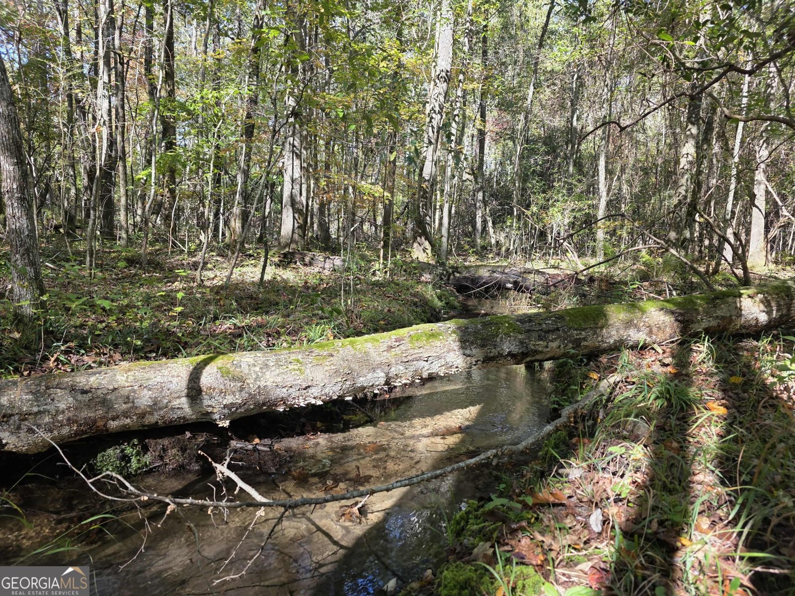 1243 US HWY 19 Meansville - 14