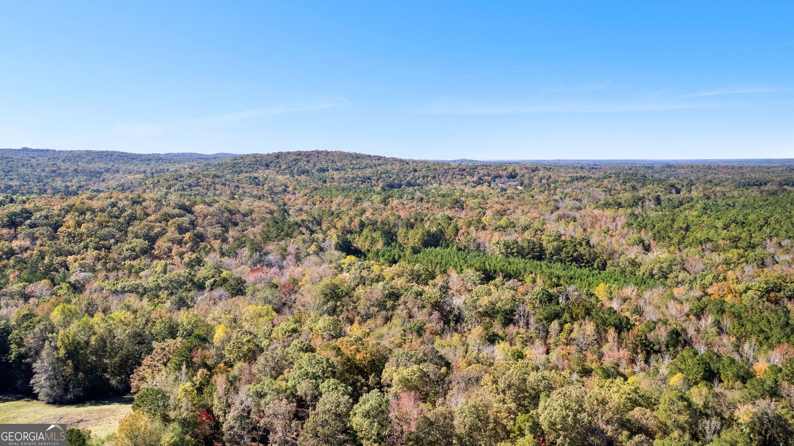 1243 US HWY 19 Meansville - 3