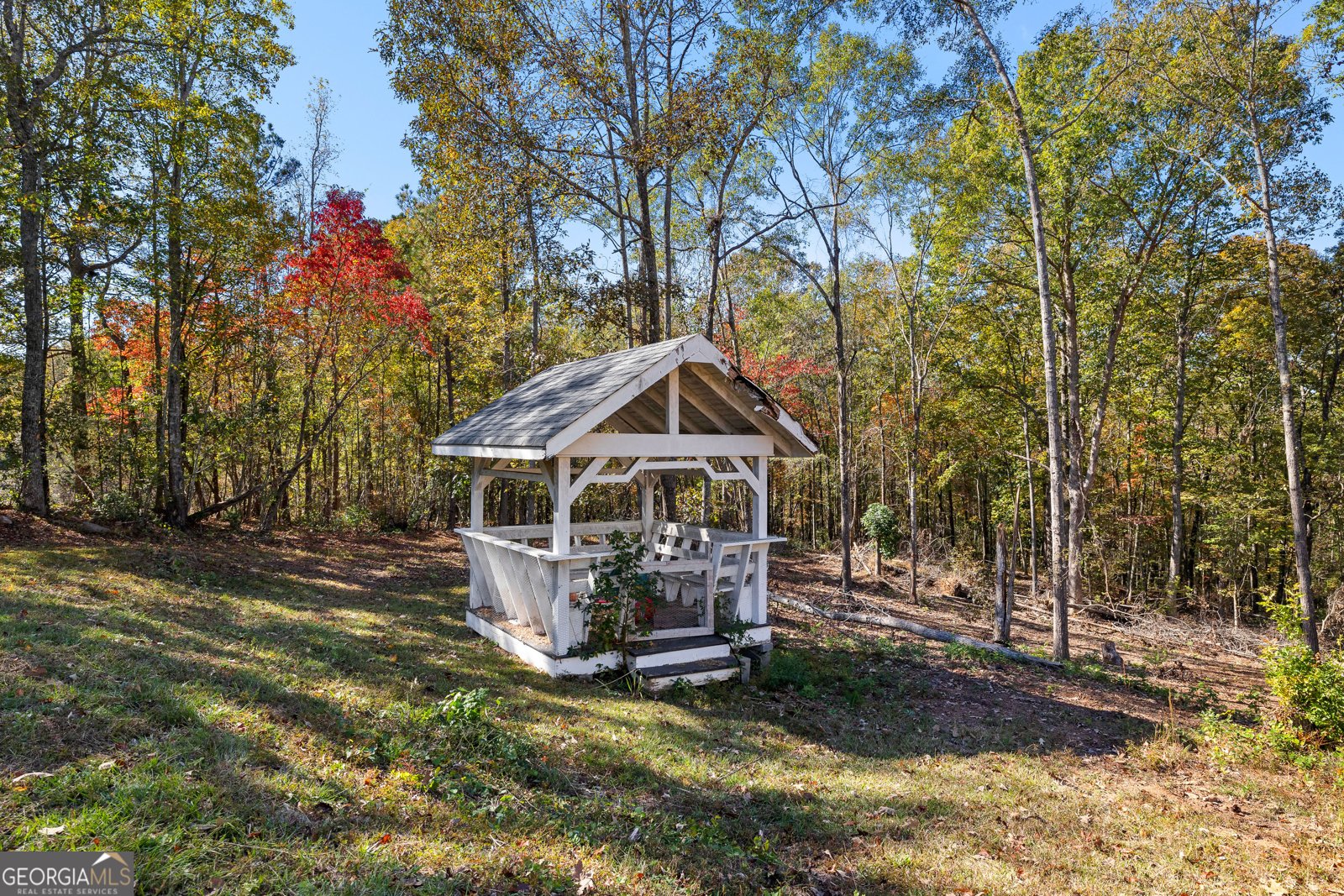 1243 US HWY 19 Meansville - 7