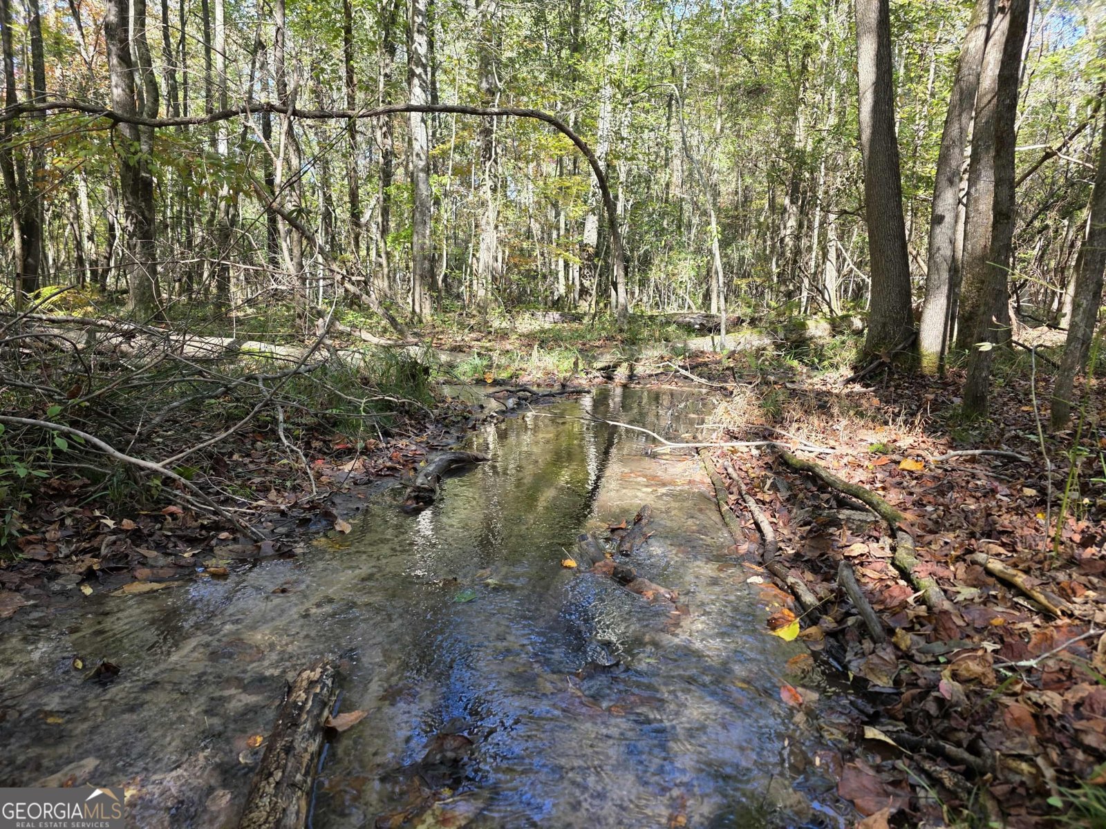 1243 US HWY 19 Meansville - 88