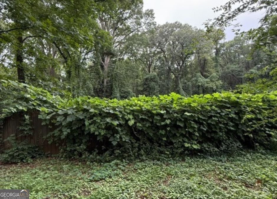 1533 Ellington Street Atlanta - 8