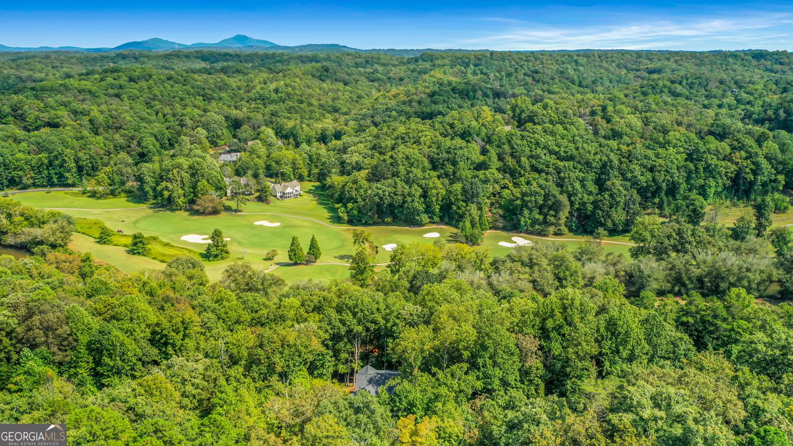 448 Golden Bear Pass Dahlonega - 11