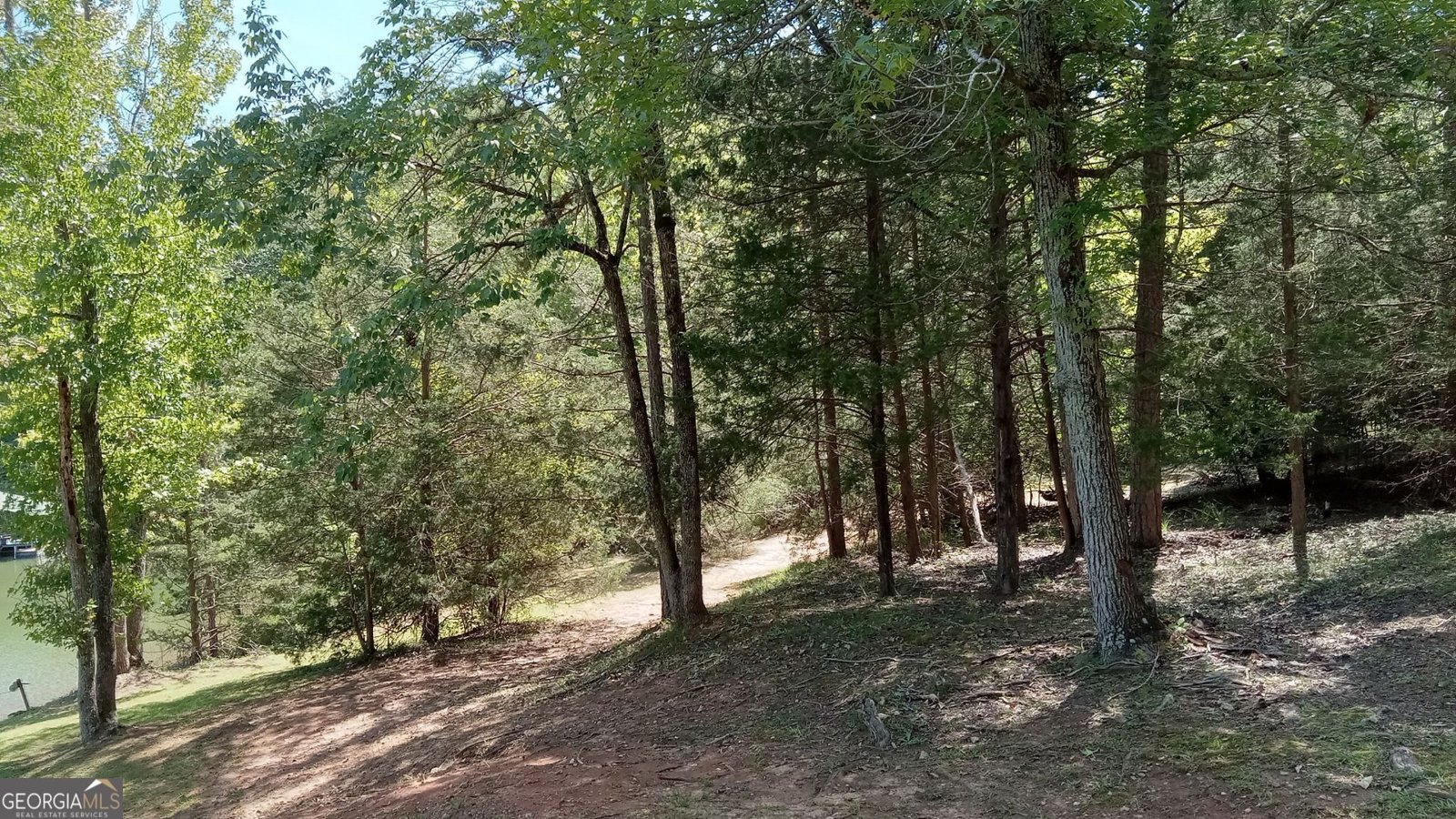 215 Heath Cove Lavonia - 4