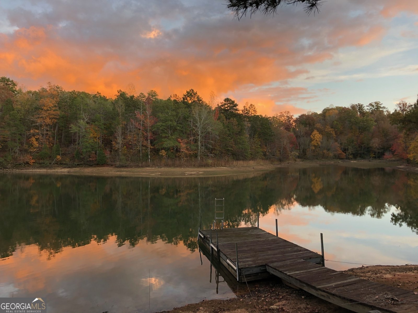 215 Heath Cove Lavonia - 5