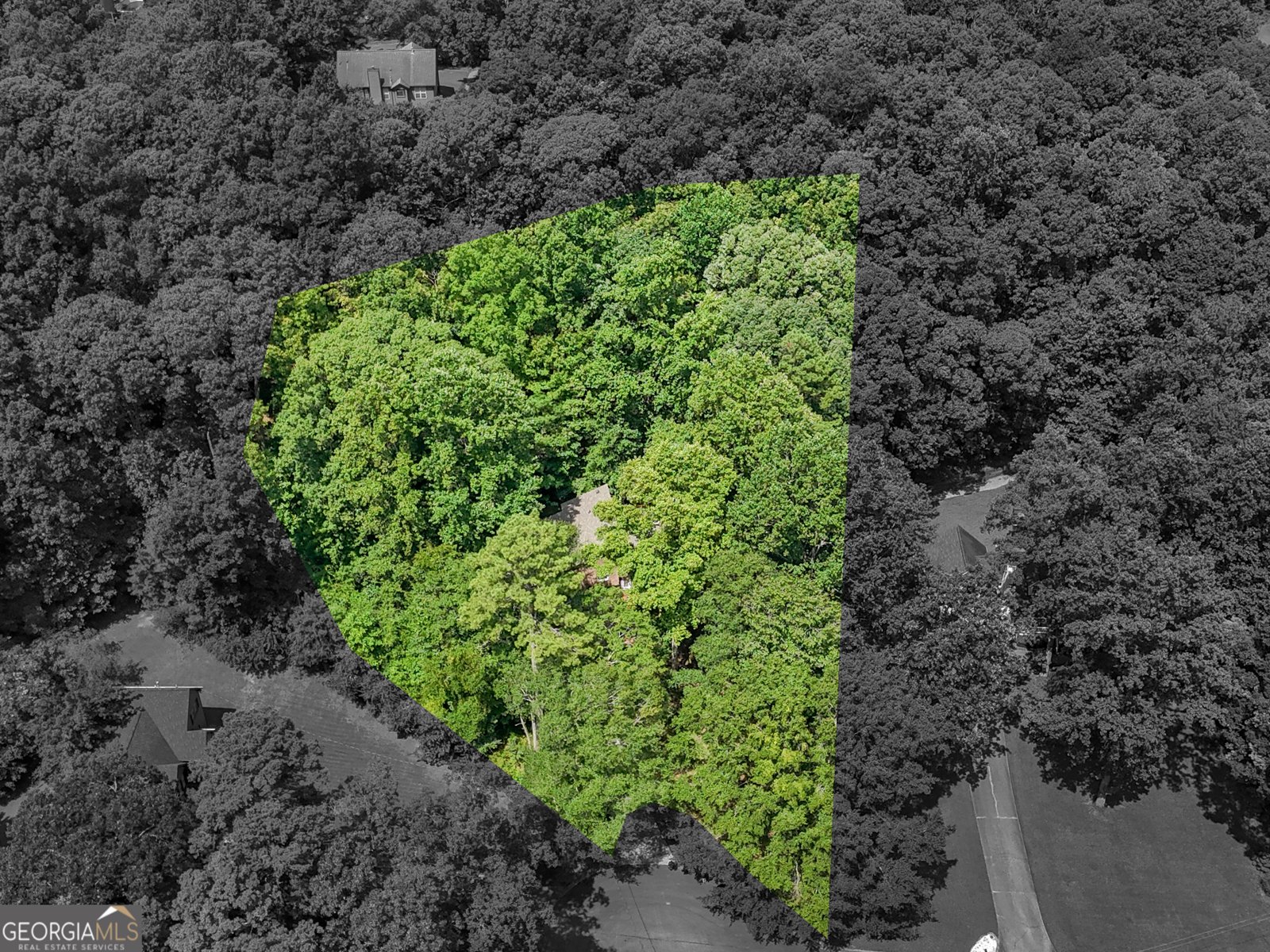 240 Briarcliff Place Stockbridge - 24