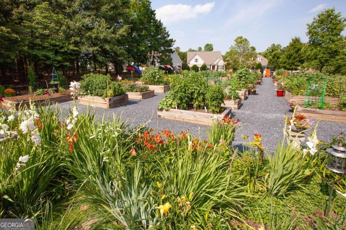 3508 Blue Spruce Court Gainesville - 37