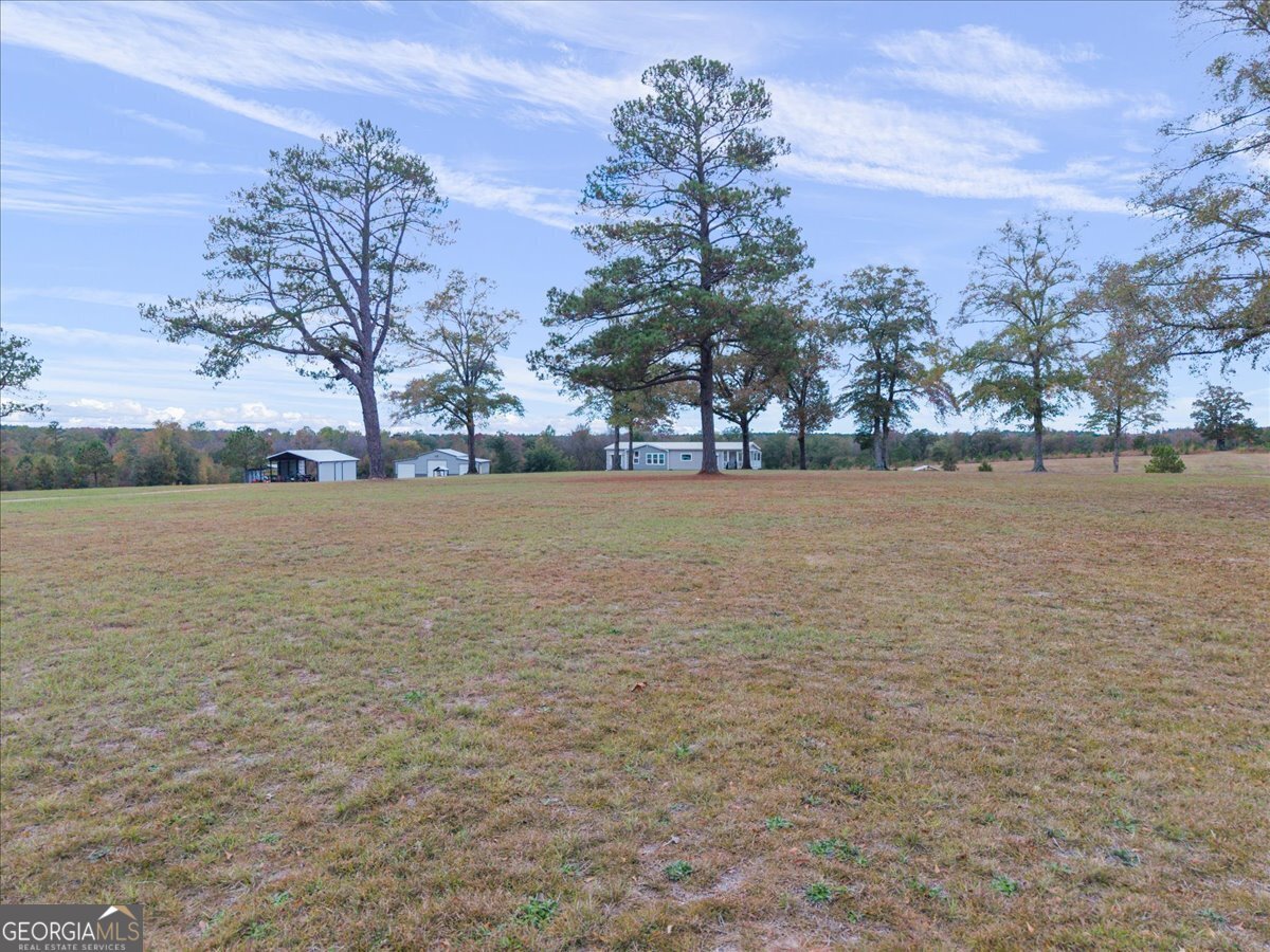 635 Snow Granade Road Gordon - 40