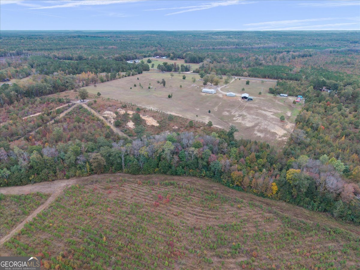 635 Snow Granade Road Gordon - 46