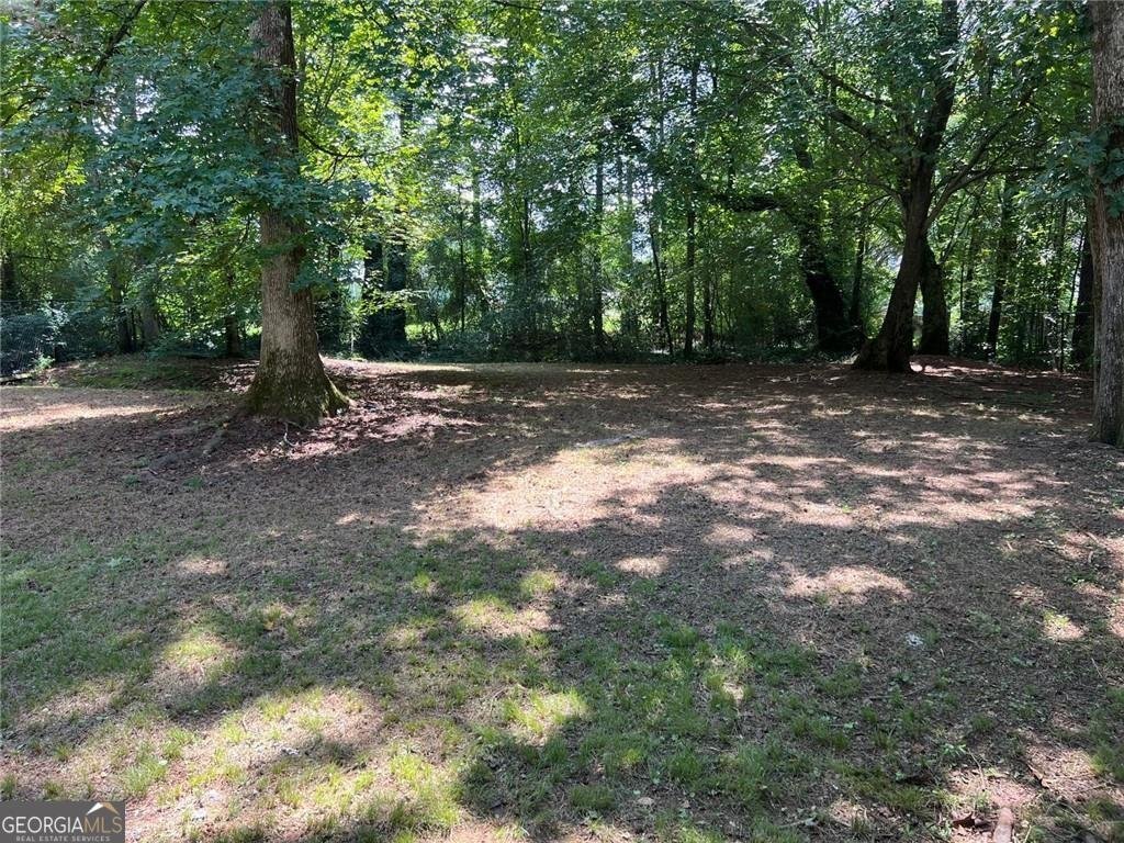 4150 Starr Creek Road Cumming - 42